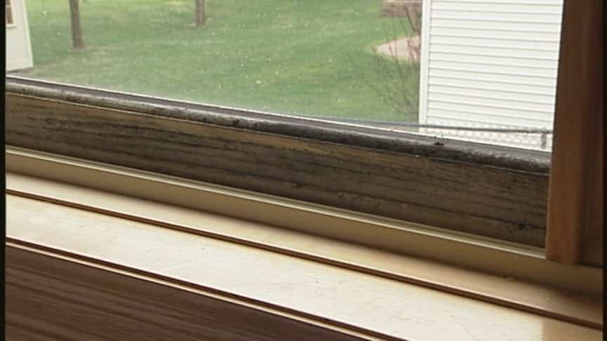 rotted wood on wood windows 