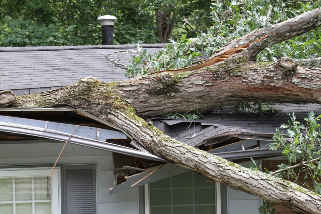 Storm Damage Maple Grove MN