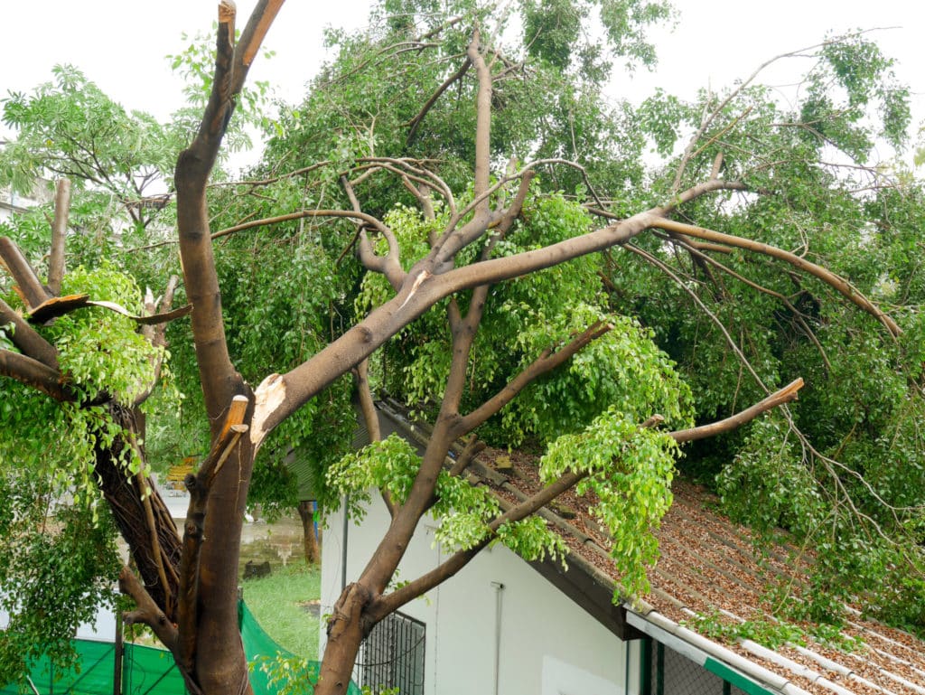 Storm Damage Blaine MN Storm Damage Blaine MN