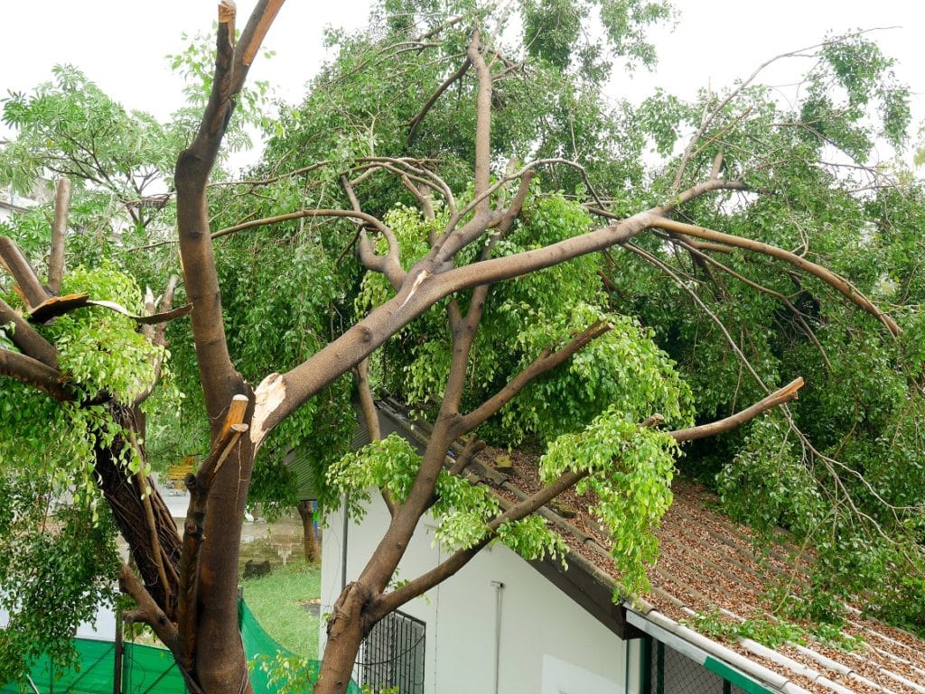 Storm Damage Brooklyn Park MN 