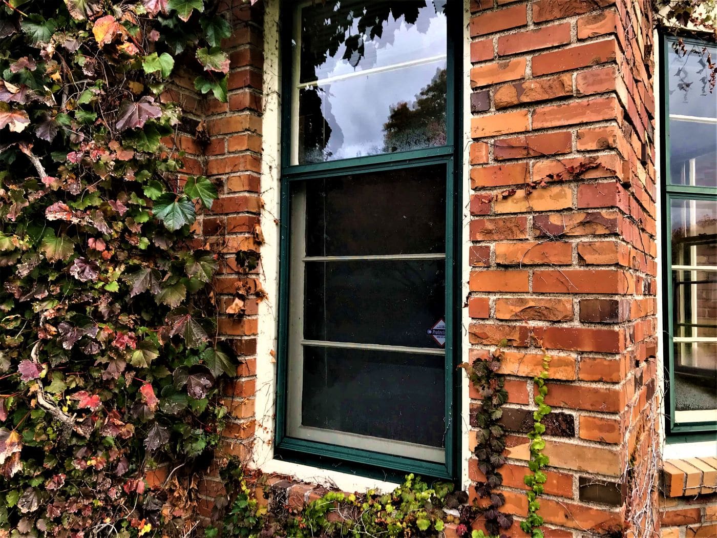 bad house windows