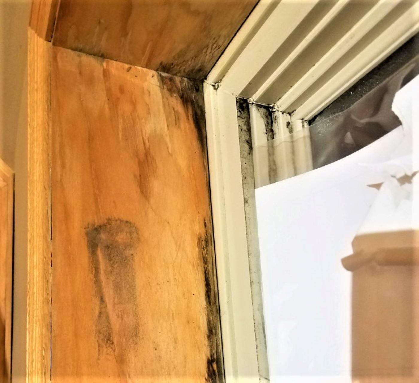 bad house windows
