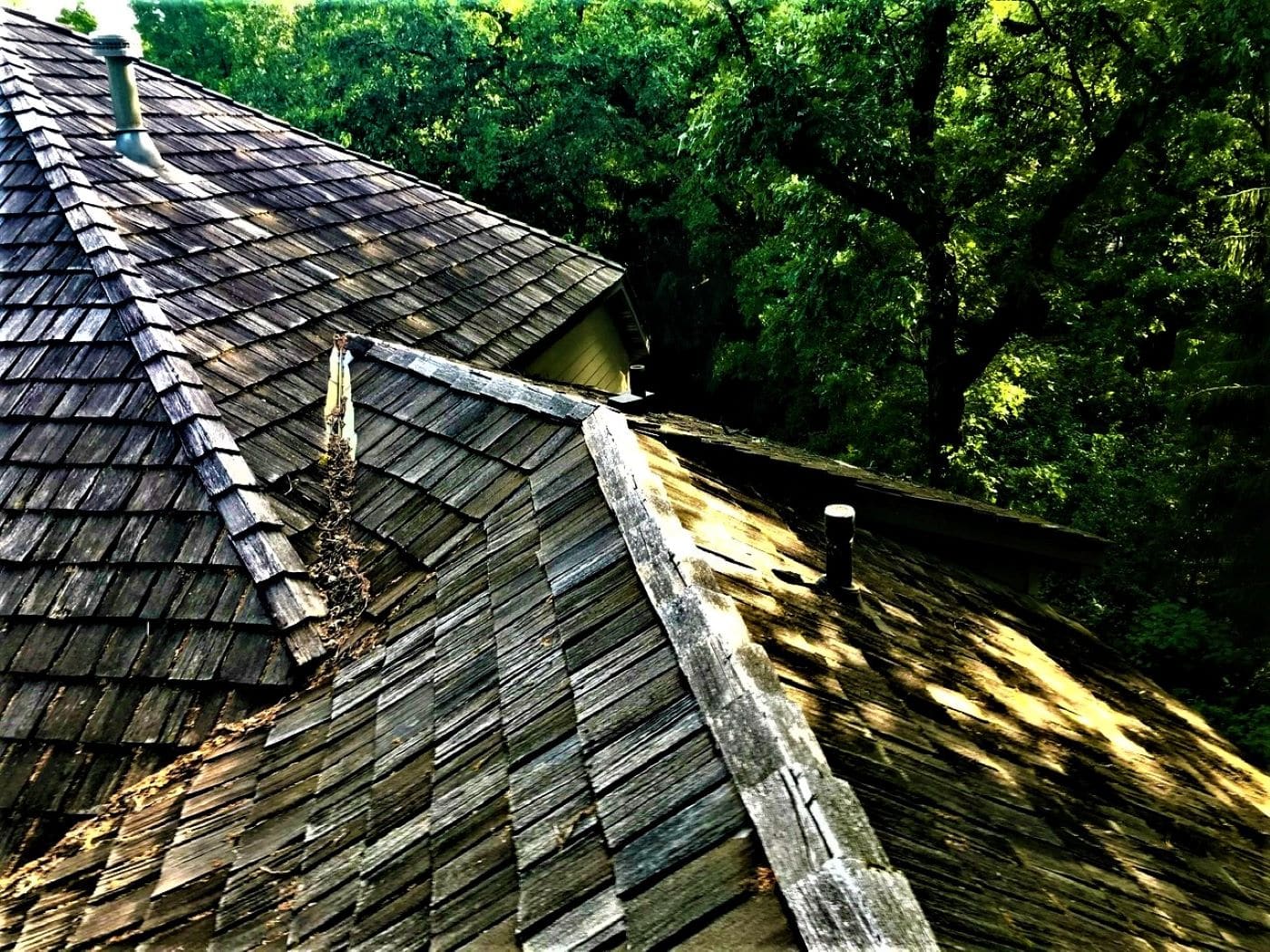 aged cedar shake roof covered in algae