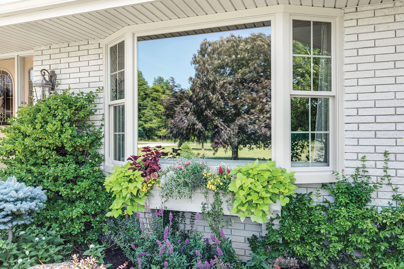 Infinity Bay Window and Double Hung Windows 