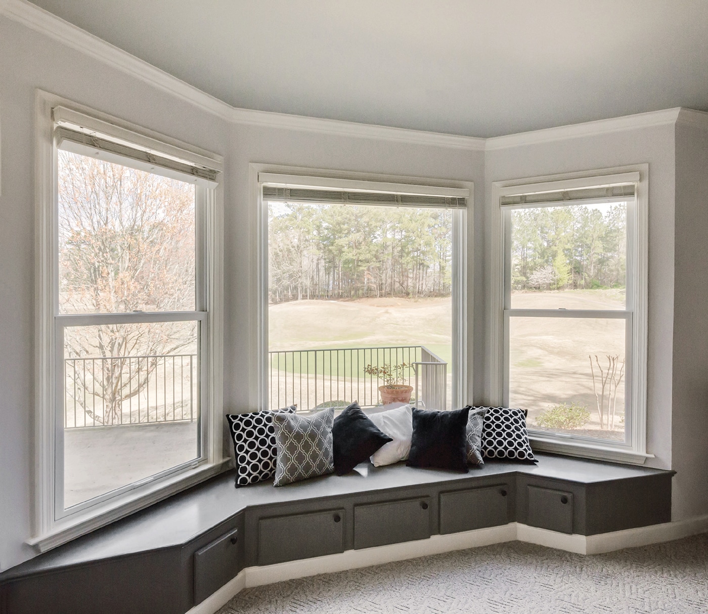 Infinity Double Hung & Picture Window