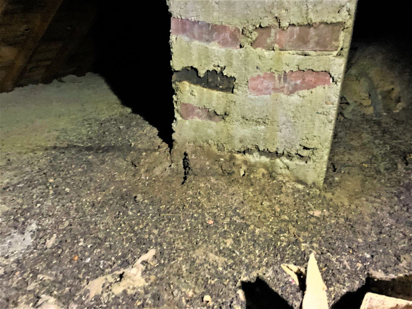 Bat droppings in an attic that may require cleanup before installing new insulation