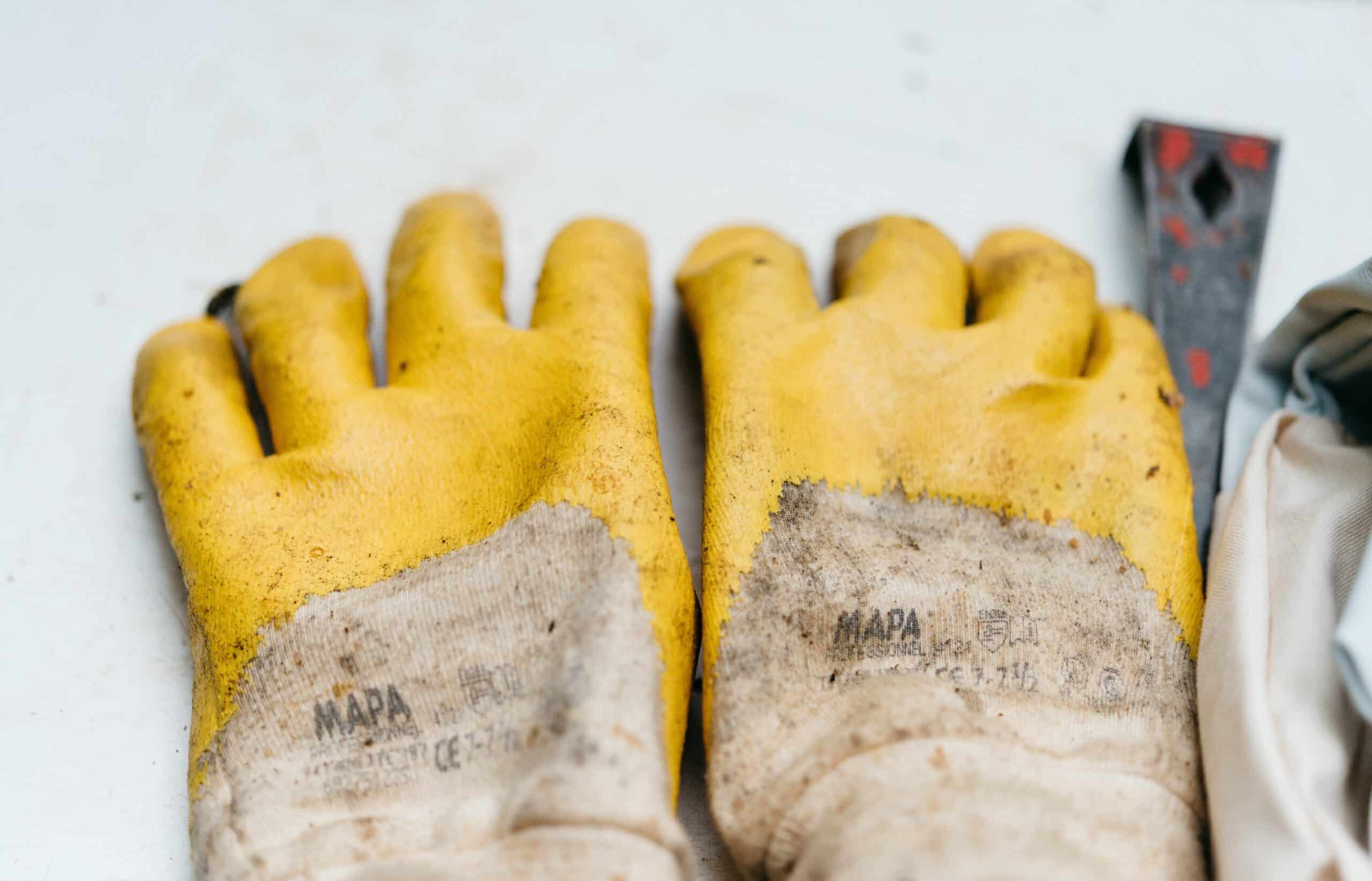 gloves