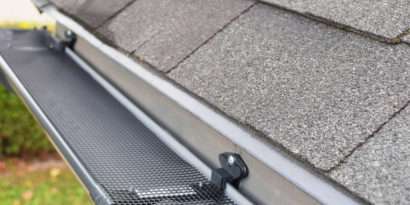  gutter screen and filter